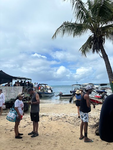 Photo from customer review